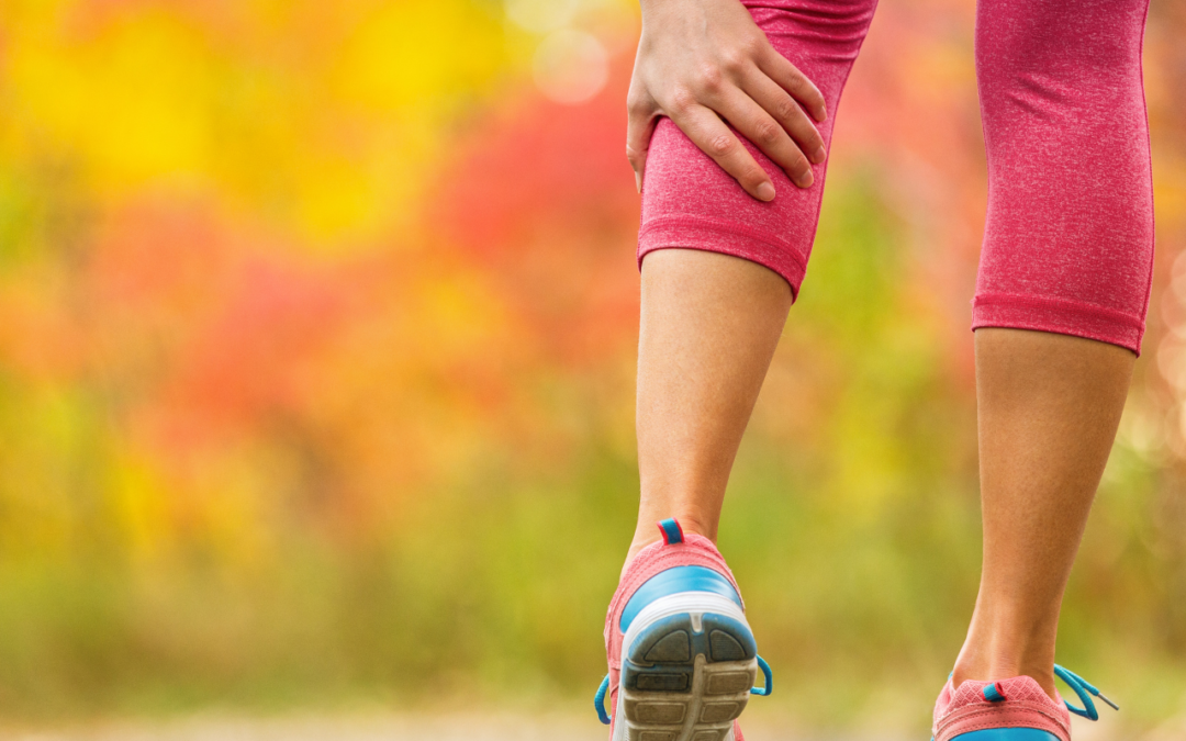 Muscoli gamba: anatomia e trattamenti fisioterapici efficaci